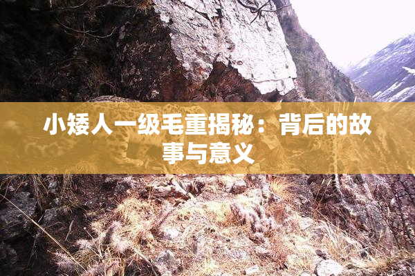 小矮人一级毛重揭秘：背后的故事与意义