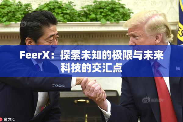 FeerX：探索未知的极限与未来科技的交汇点