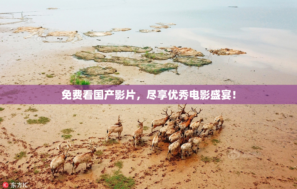 免费看国产影片，尽享优秀电影盛宴！