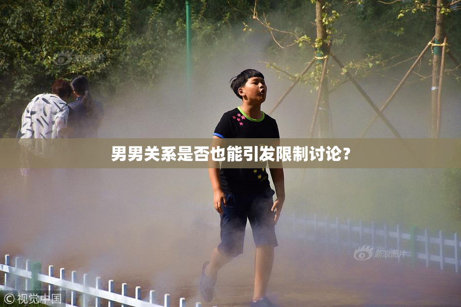 男男关系是否也能引发限制讨论？