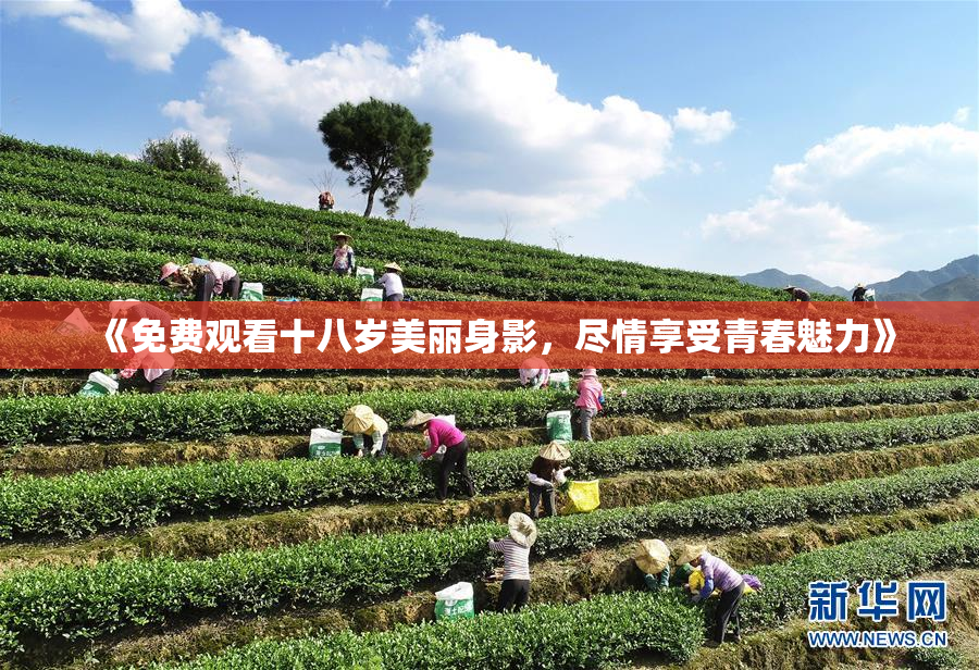 《免费观看十八岁美丽身影，尽情享受青春魅力》