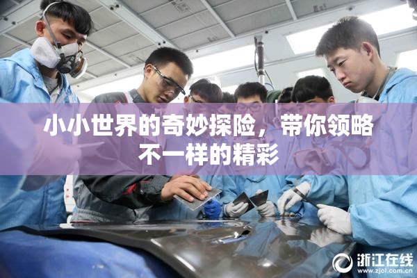 小小世界的奇妙探险，带你领略不一样的精彩