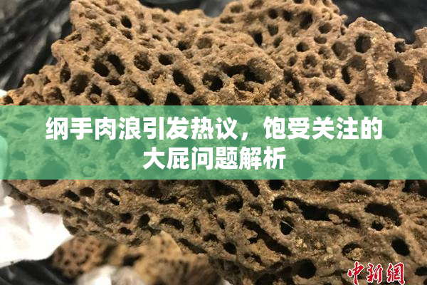 纲手肉浪引发热议，饱受关注的大屁问题解析