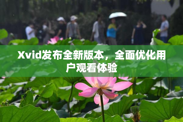Xvid发布全新版本，全面优化用户观看体验