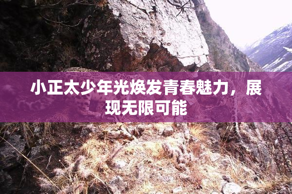 小正太少年光焕发青春魅力，展现无限可能