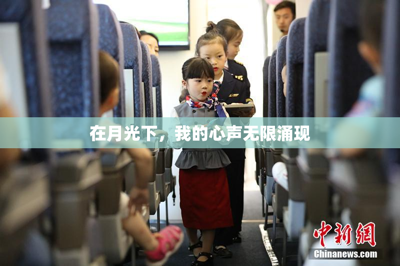在月光下，我的心声无限涌现