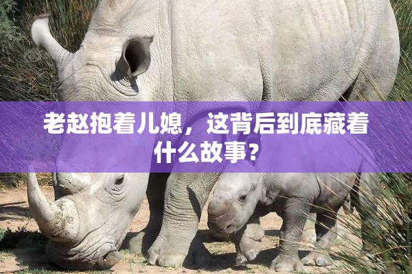 老赵抱着儿媳，这背后到底藏着什么故事？