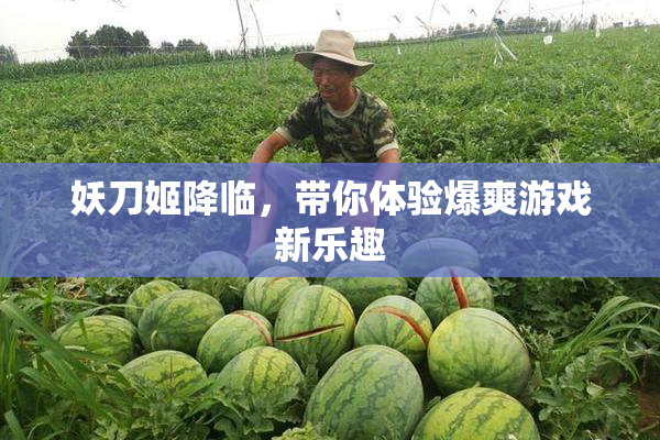 妖刀姬降临，带你体验爆爽游戏新乐趣