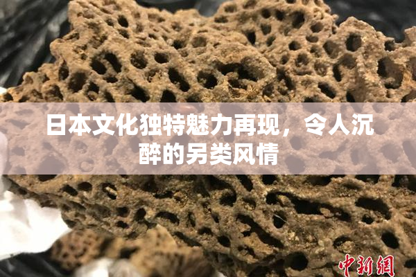 日本文化独特魅力再现，令人沉醉的另类风情