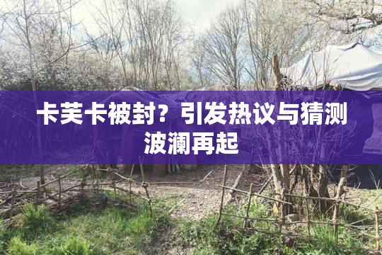 卡芙卡被封？引发热议与猜测波澜再起