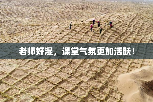 老师好湿，课堂气氛更加活跃！