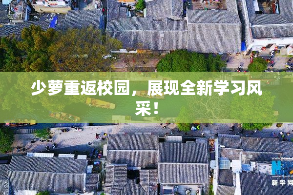 少萝重返校园，展现全新学习风采！