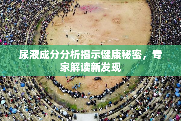 尿液成分分析揭示健康秘密，专家解读新发现