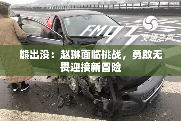 熊出没：赵琳面临挑战，勇敢无畏迎接新冒险