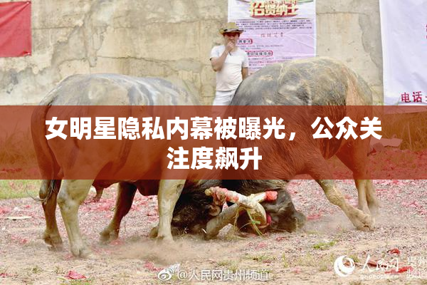 女明星隐私内幕被曝光，公众关注度飙升