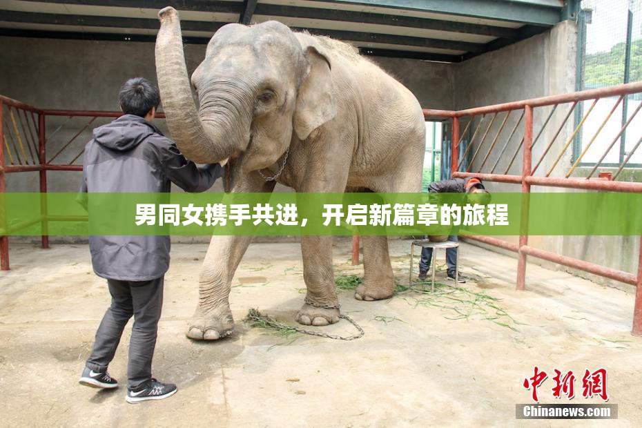 男同女携手共进，开启新篇章的旅程