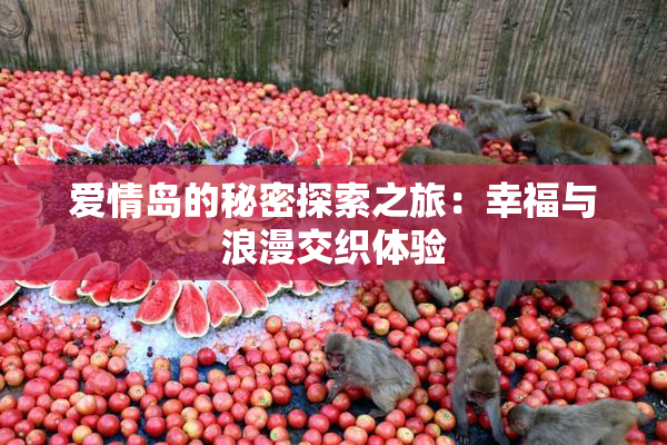 爱情岛的秘密探索之旅：幸福与浪漫交织体验