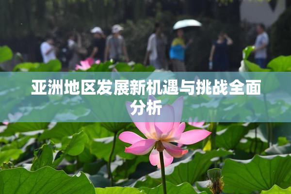 亚洲地区发展新机遇与挑战全面分析
