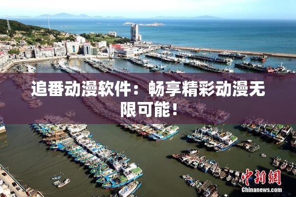 追番动漫软件：畅享精彩动漫无限可能！