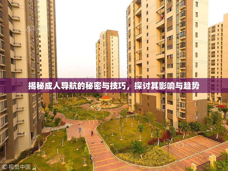 揭秘成人导航的秘密与技巧，探讨其影响与趋势