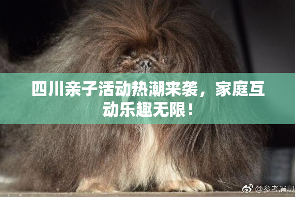 四川亲子活动热潮来袭，家庭互动乐趣无限！