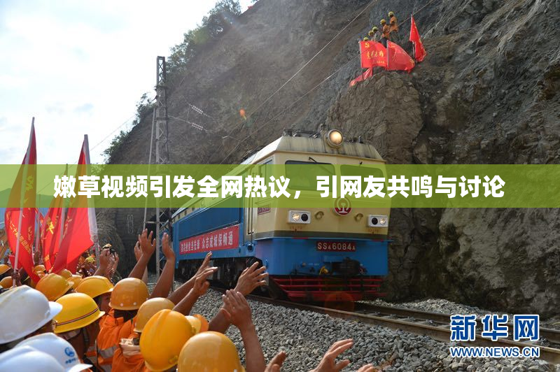 嫩草视频引发全网热议，引网友共鸣与讨论
