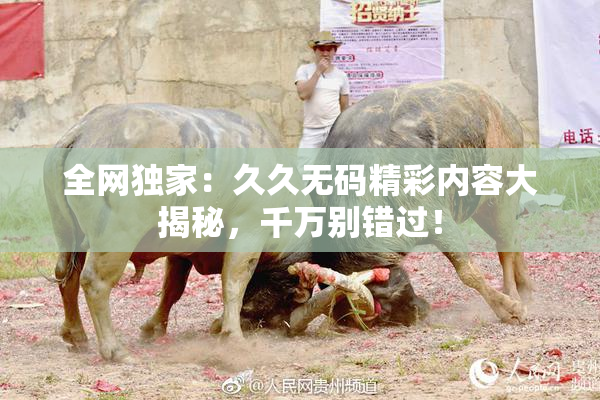 全网独家：久久无码精彩内容大揭秘，千万别错过！