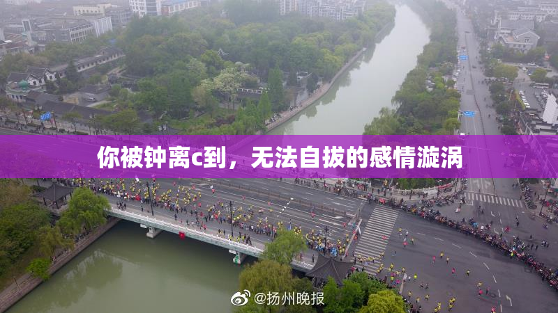你被钟离c到，无法自拔的感情漩涡
