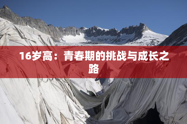16岁高：青春期的挑战与成长之路