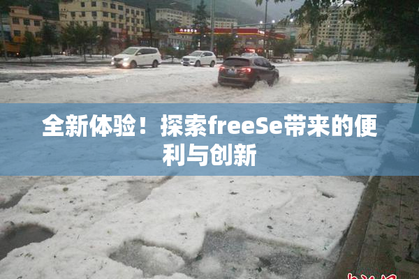 全新体验！探索freeSe带来的便利与创新