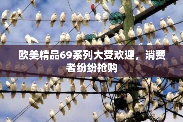 欧美精品69系列大受欢迎，消费者纷纷抢购