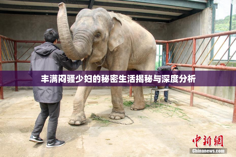 丰满闷骚少妇的秘密生活揭秘与深度分析