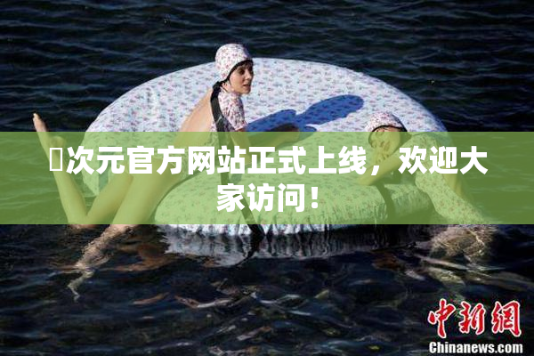 囧次元官方网站正式上线，欢迎大家访问！