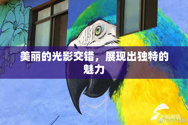 美丽的光影交错，展现出独特的魅力