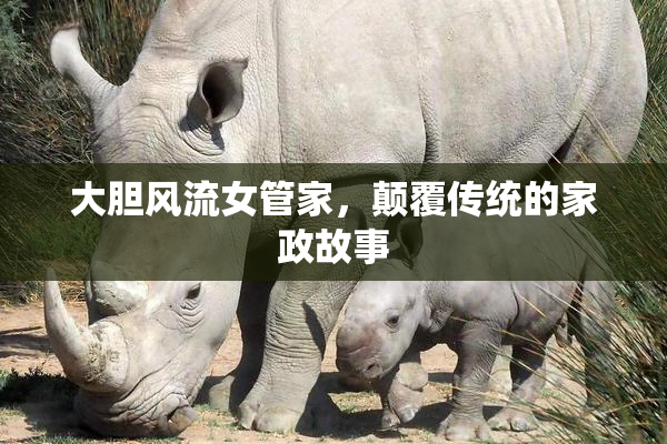 大胆风流女管家，颠覆传统的家政故事