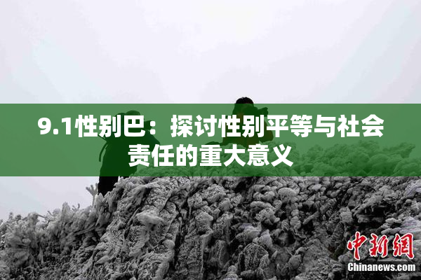 9.1性别巴：探讨性别平等与社会责任的重大意义