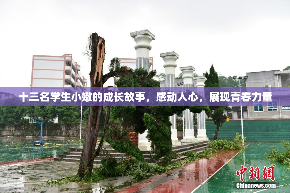 十三名学生小嫩的成长故事，感动人心，展现青春力量