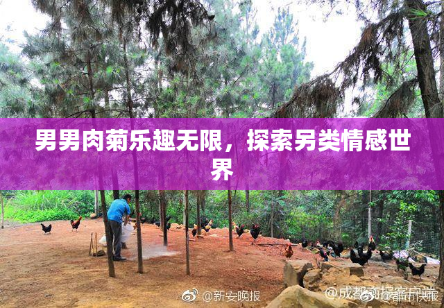 男男肉菊乐趣无限，探索另类情感世界