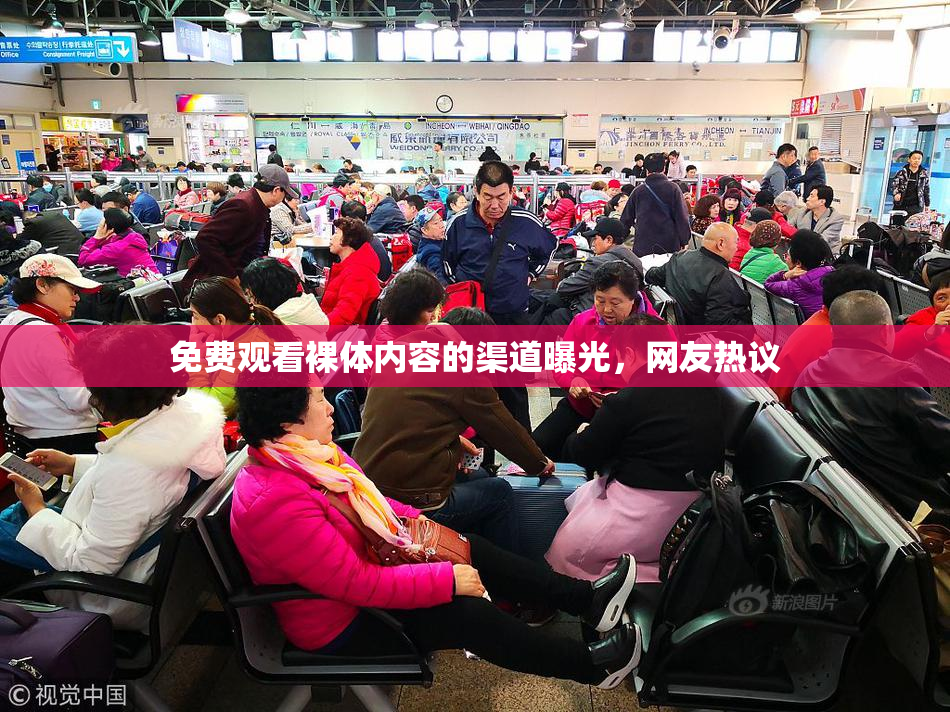 免费观看裸体内容的渠道曝光，网友热议