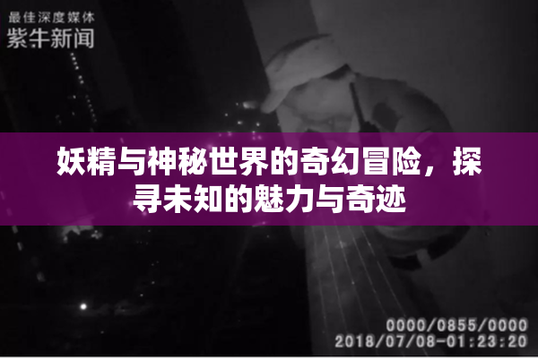 妖精与神秘世界的奇幻冒险，探寻未知的魅力与奇迹
