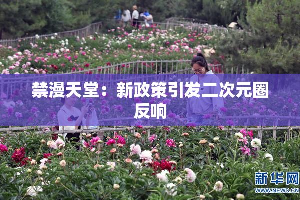 禁漫天堂：新政策引发二次元圈反响