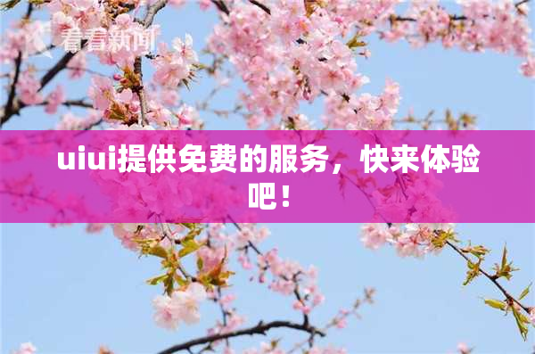 uiui提供免费的服务，快来体验吧！