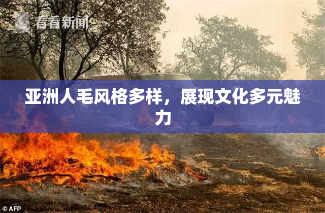 亚洲人毛风格多样，展现文化多元魅力