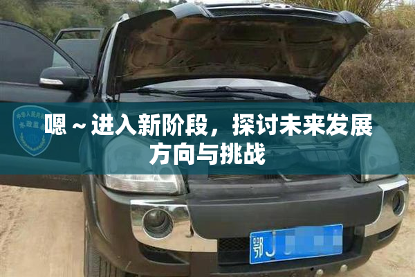 嗯～进入新阶段，探讨未来发展方向与挑战