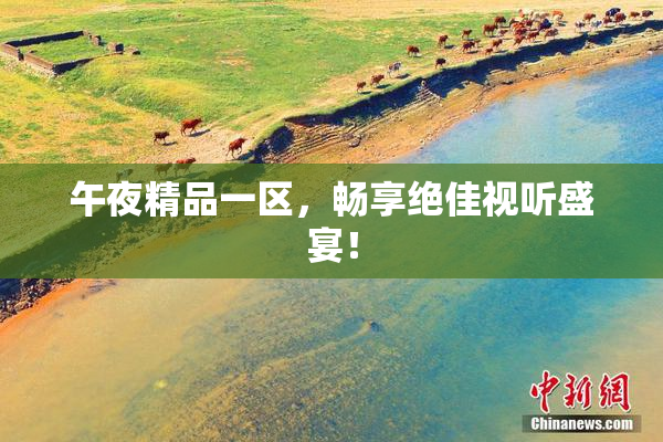 午夜精品一区，畅享绝佳视听盛宴！