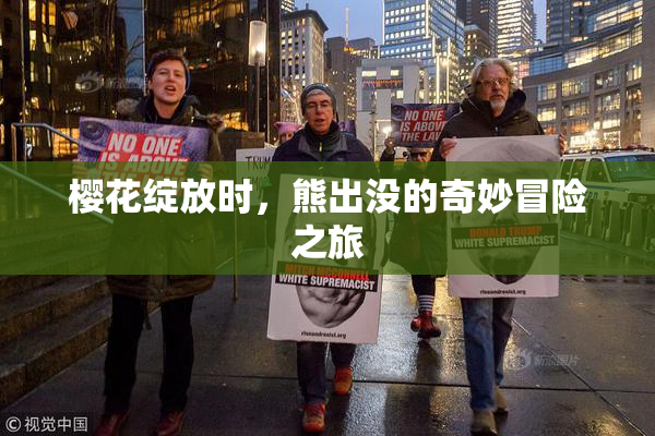 樱花绽放时，熊出没的奇妙冒险之旅