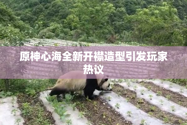 原神心海全新开襟造型引发玩家热议