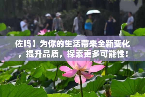 佐鸣】为你的生活带来全新变化，提升品质，探索更多可能性！