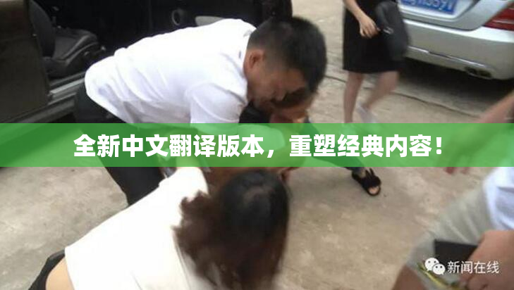 全新中文翻译版本，重塑经典内容！
