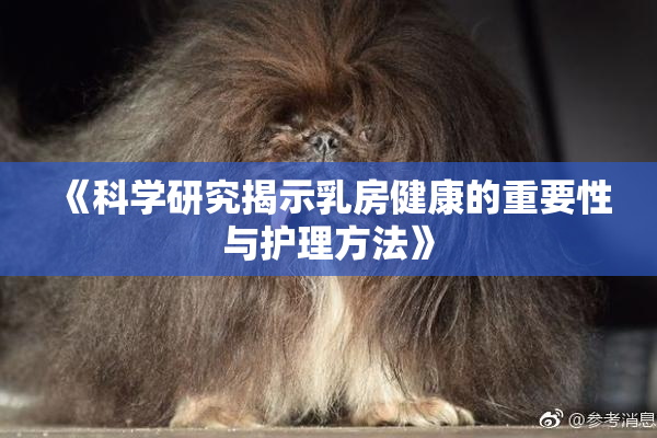 《科学研究揭示乳房健康的重要性与护理方法》